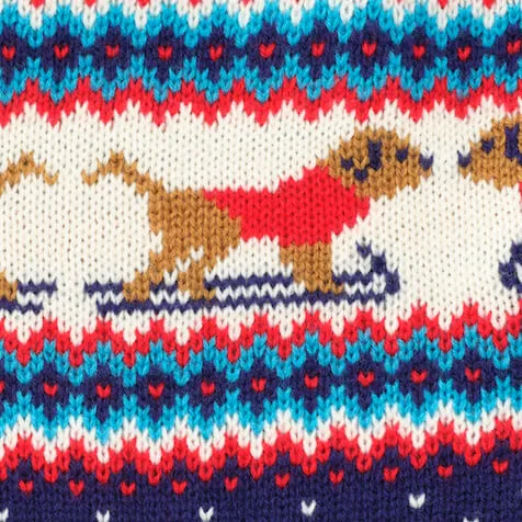 Gray Malin x TFD Hit the Slopes Dog Sweater